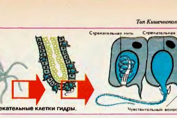 Кракен не работает сегодня